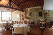 Anticaosteria4
