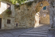 montone2