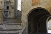 montone3