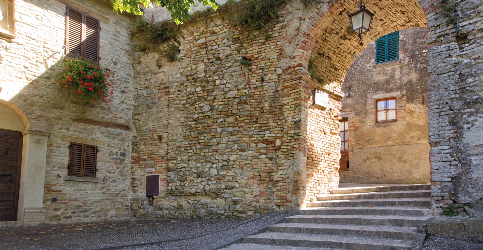 montone