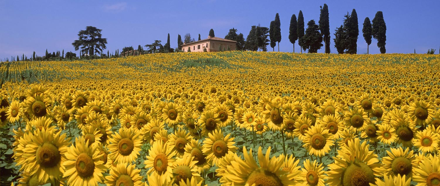 tuscany