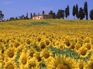 tuscany
